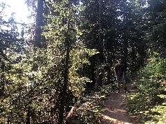 Ben Dorrough; Maple Heather Trail, WA